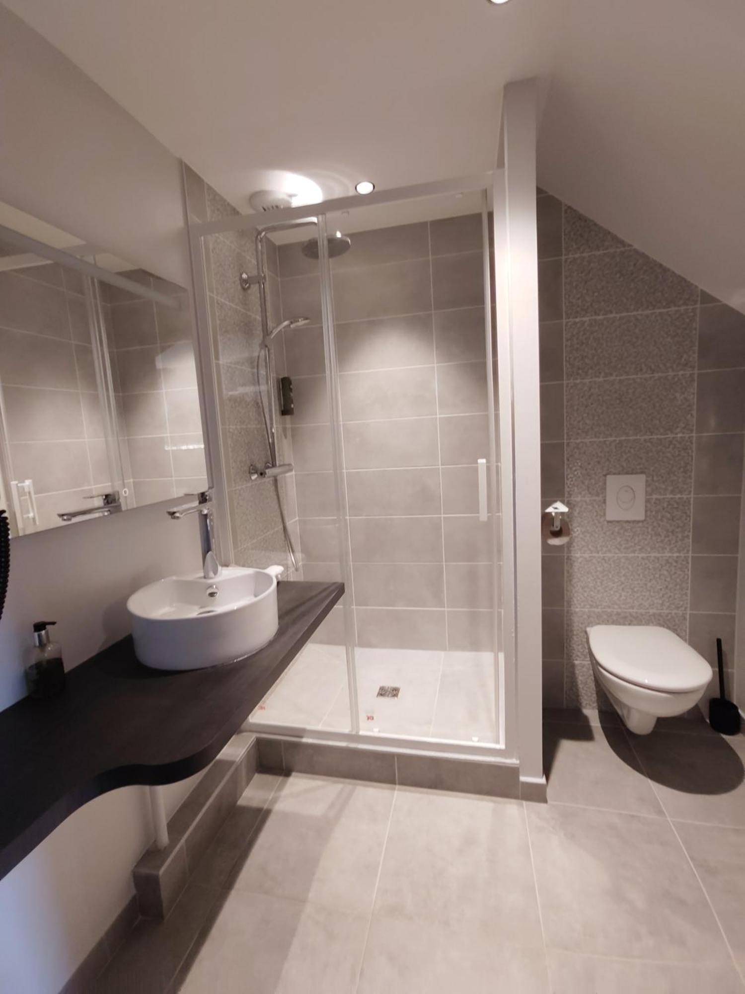 Hotel Relais Saint Michel à Villegusien-le-Lac Extérieur photo