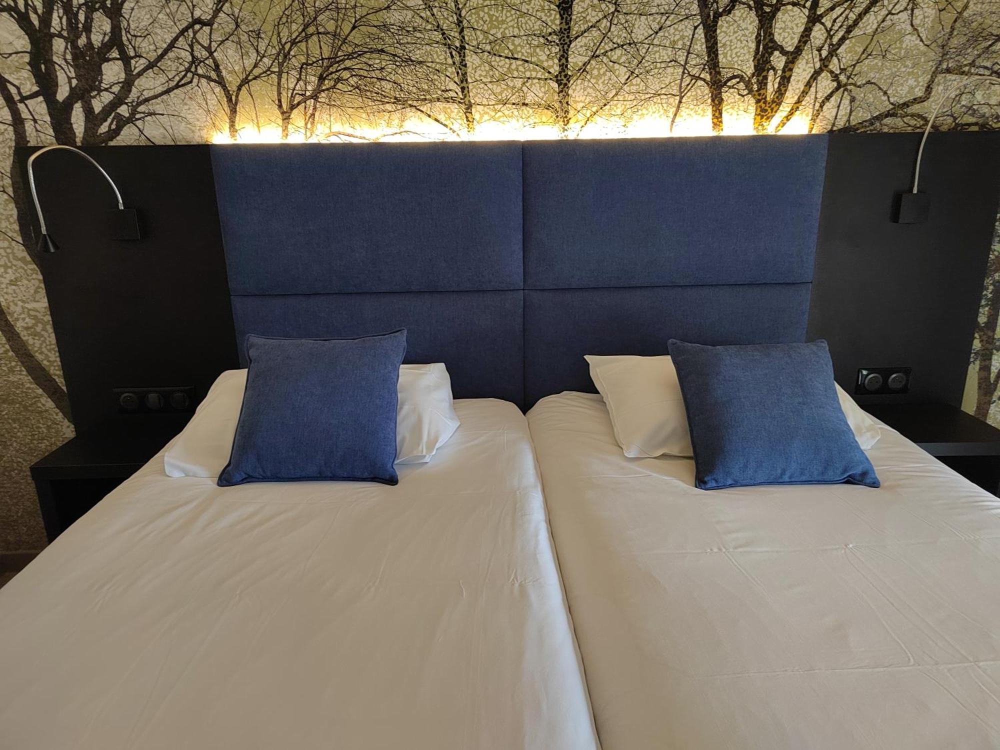 Hotel Relais Saint Michel à Villegusien-le-Lac Extérieur photo