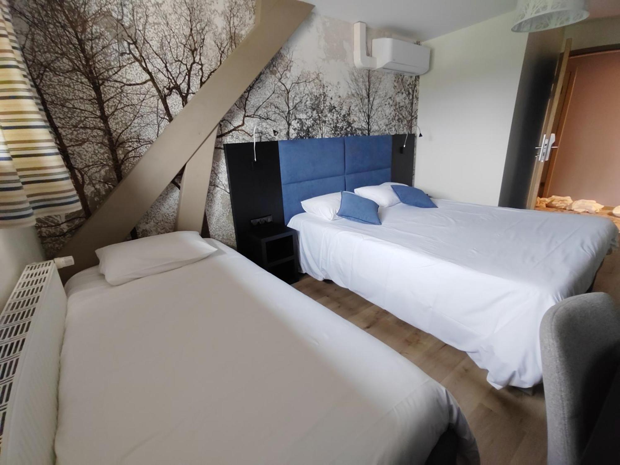 Hotel Relais Saint Michel à Villegusien-le-Lac Extérieur photo